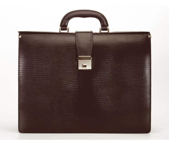 Paul Leather Portfolio / Laptop Bag(Brown)F27