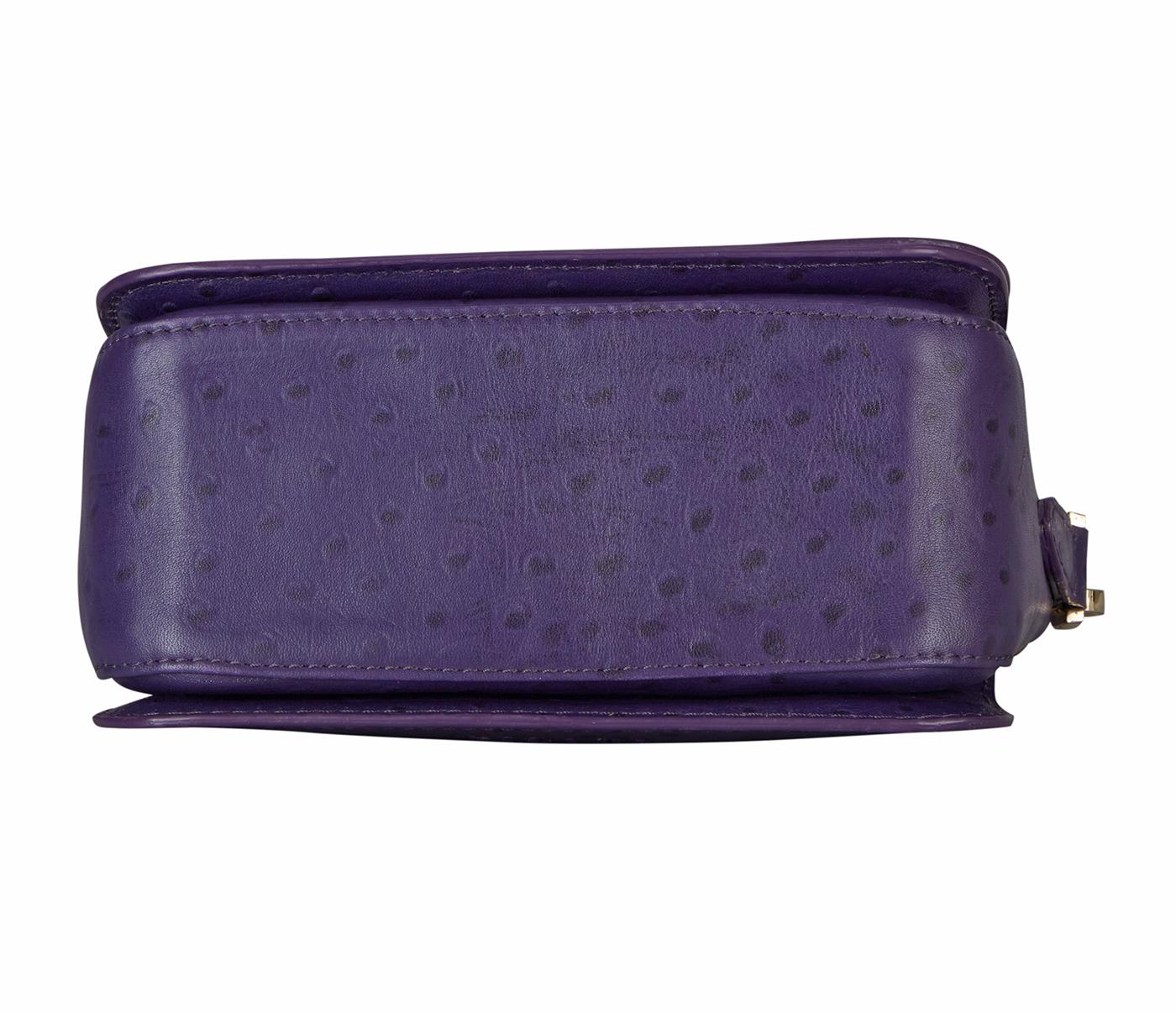 Buy Purple Handbags for Women by Anna Claire Online | Ajio.com